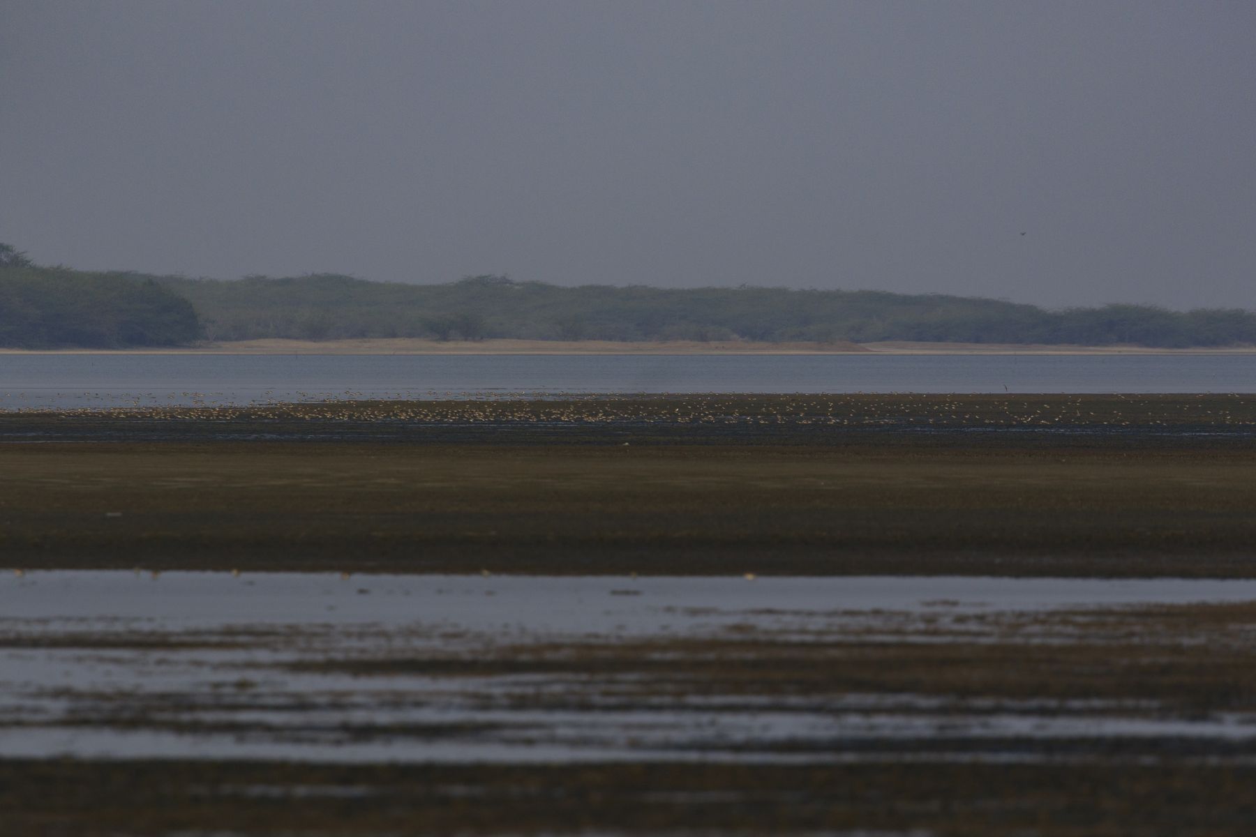 Valinokkam wetland at dusk, Gulf of Mannar